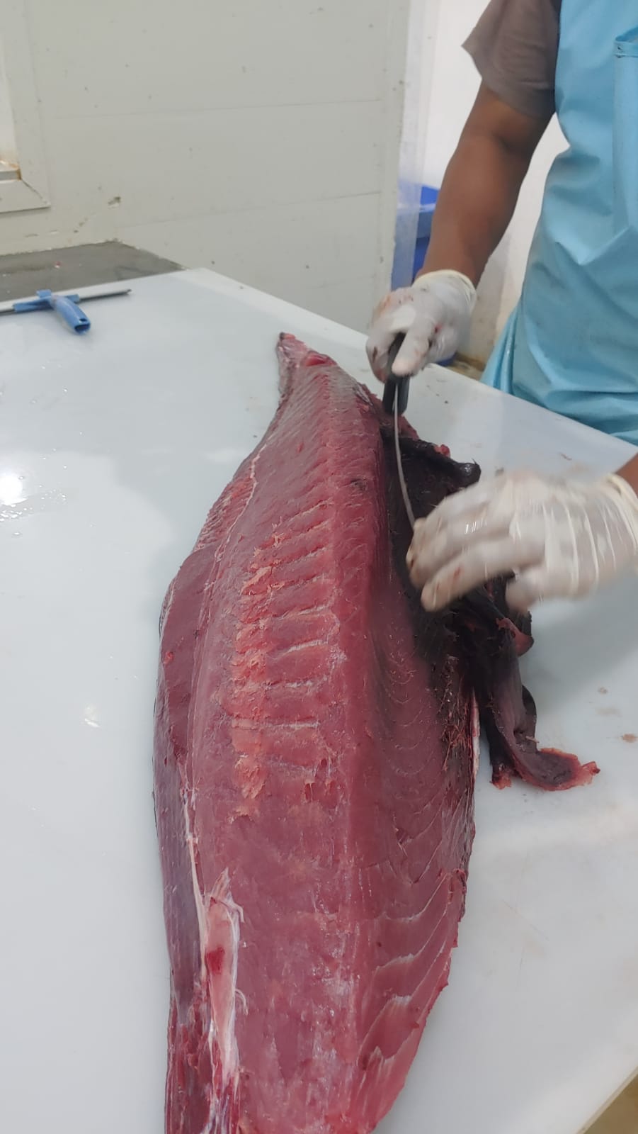 Fresh Tuna loin